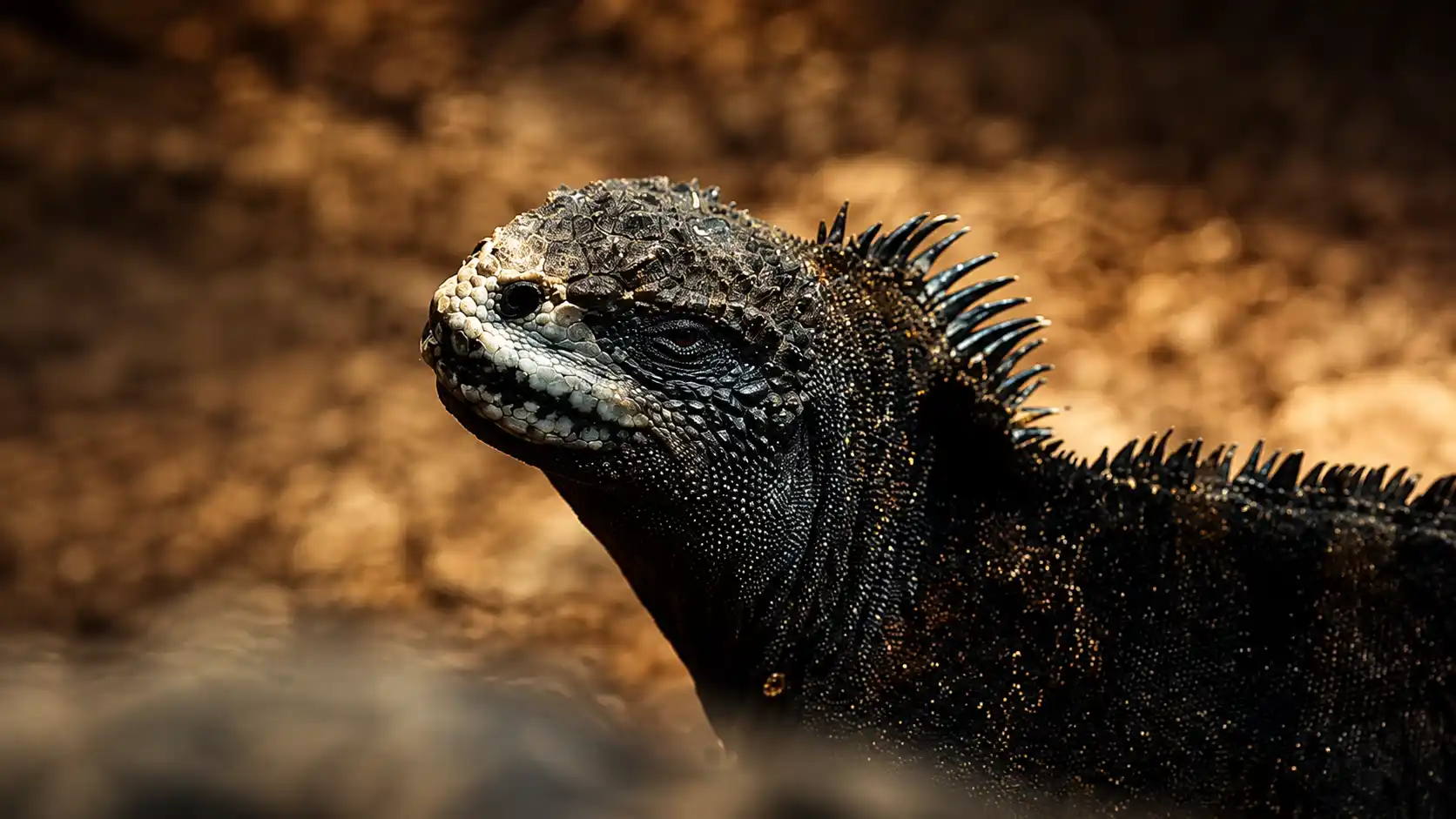 Galápagos y Ecuador Sensorial